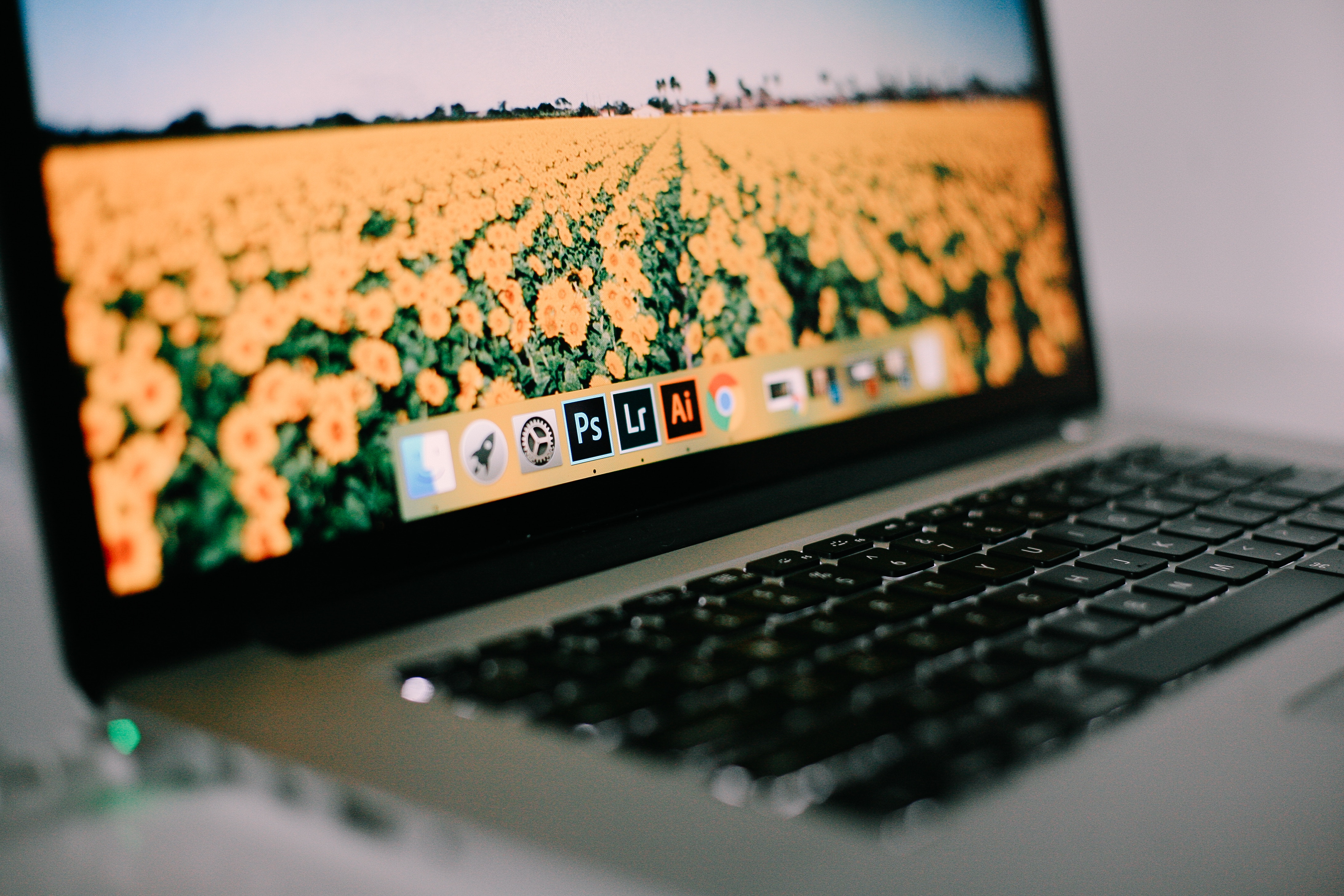 linkage web development