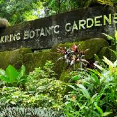 Botanical Garden in Mt. Makiling - Entrance