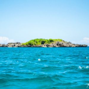 Crocodile Island