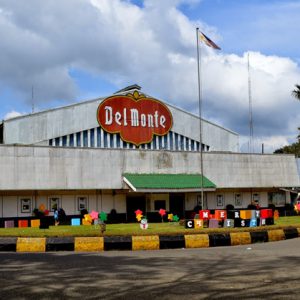 Del Monte Philippines, Inc.