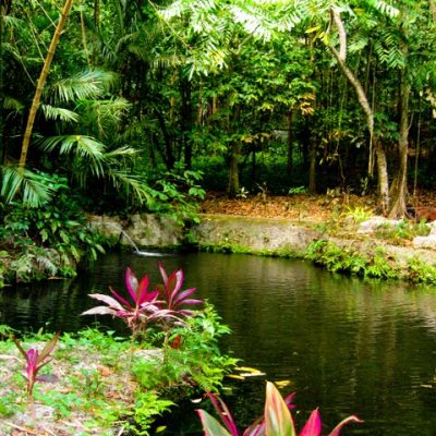 Los Baños Hot Springs