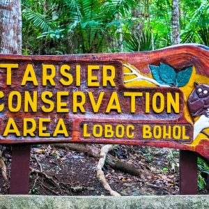 Tarsier Conservatory - Entrance