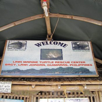 Turtle Sanctuary - Entrance