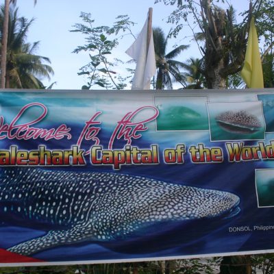 Whale Shark Capital, Dansol