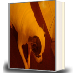 cover 5