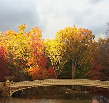 20141107_161133