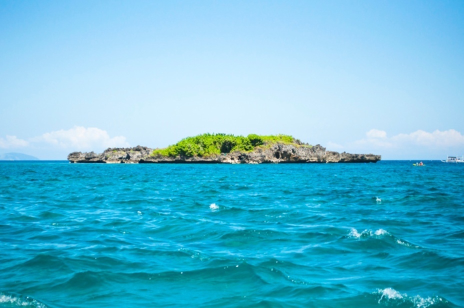 Crocodile Island