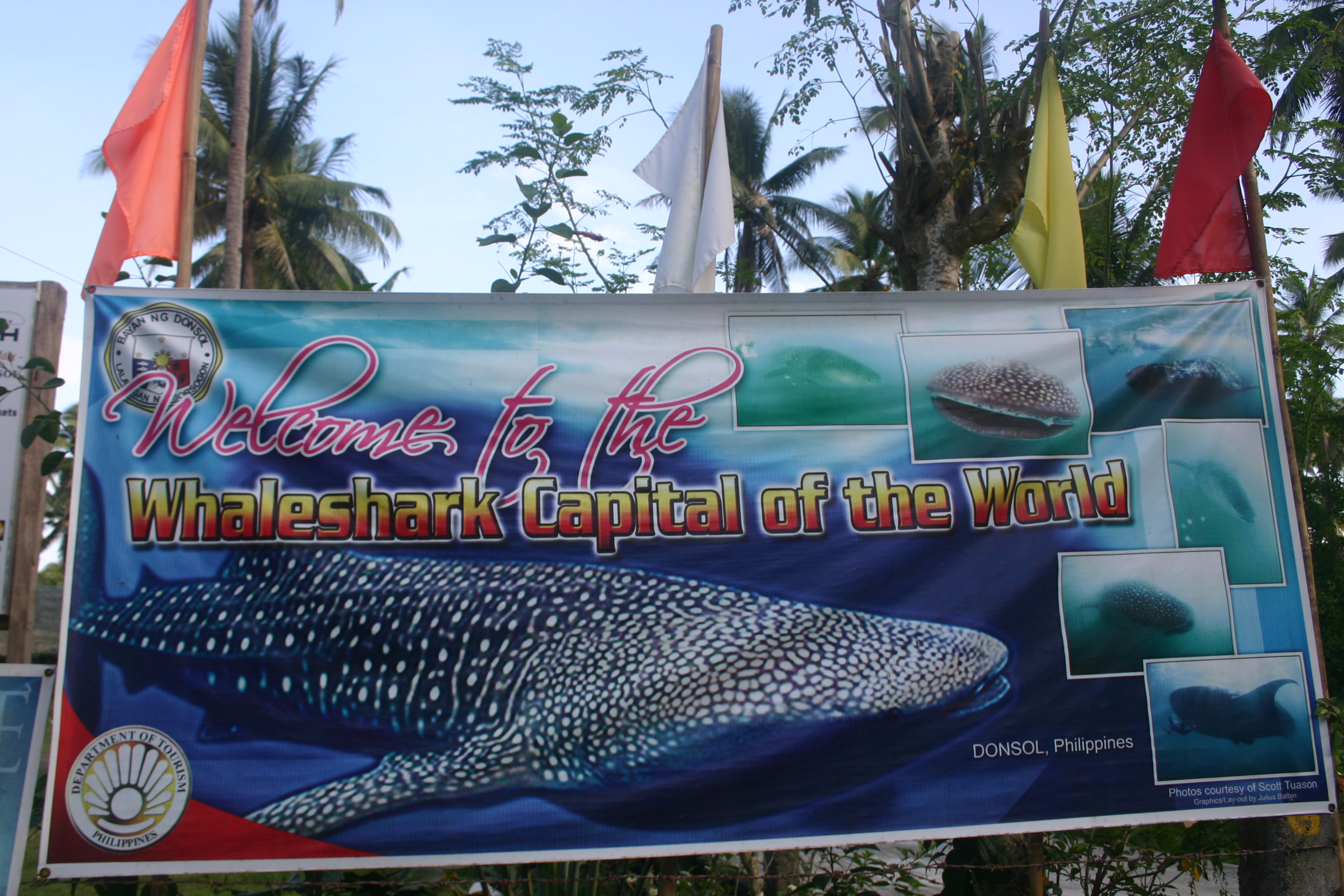Whale Shark Capital, Dansol