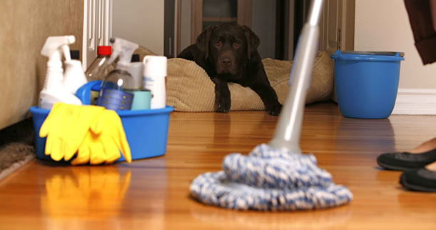 residential-cleaning